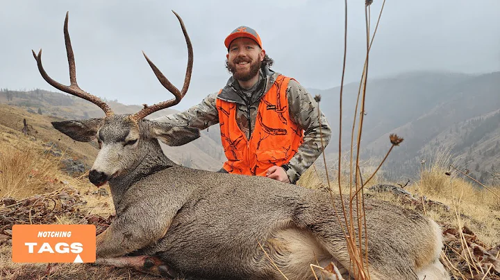 75 YARD SHOT! Washington Mule Deer Spot & Stalk Hunt with Okanogan Valley Guide Services!