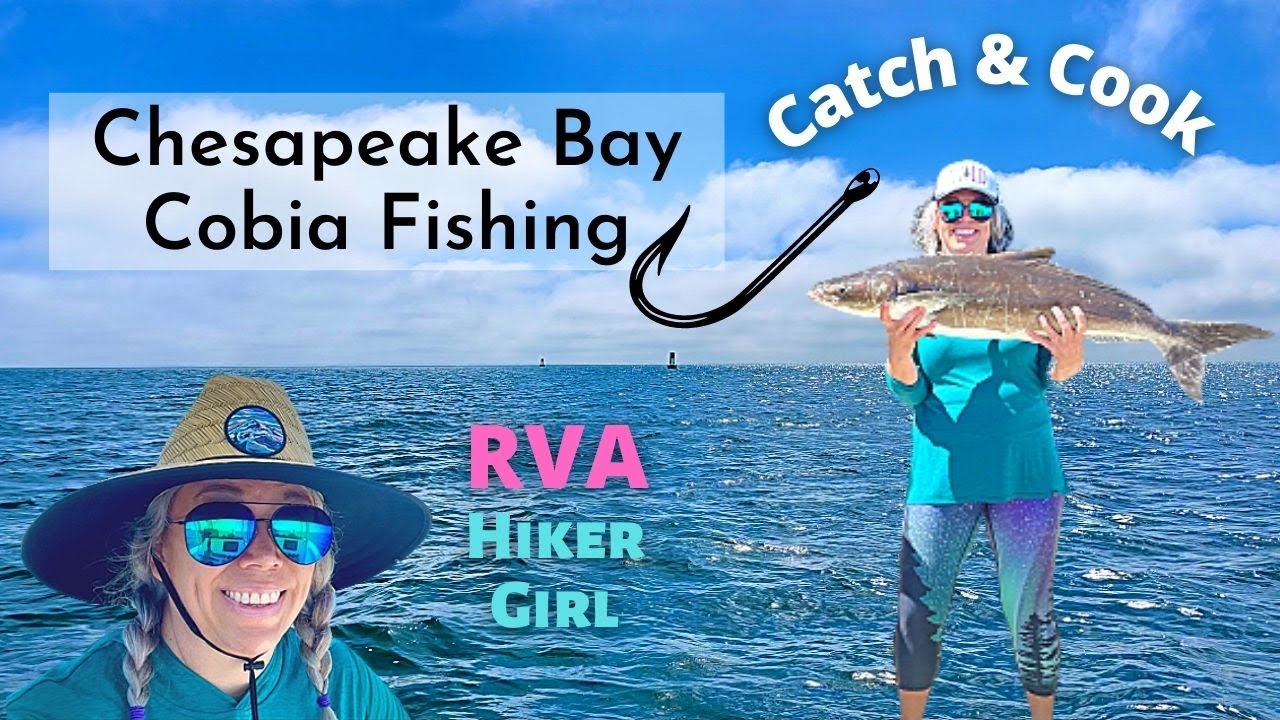 Cobia Saltwater Fishing - Chesapeake Bay, Virginia - YouTube