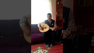 Himmet Olgac Sevilmeden Sevdim