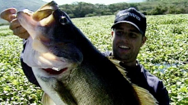 Big Bass Below the Border: MazatlÃ¡n, Part 1
