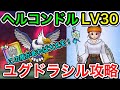 【ドラクエウォーク】ヘルコンドルLV30 この盾があれば攻略可能！回復武器はユグドラシル！！