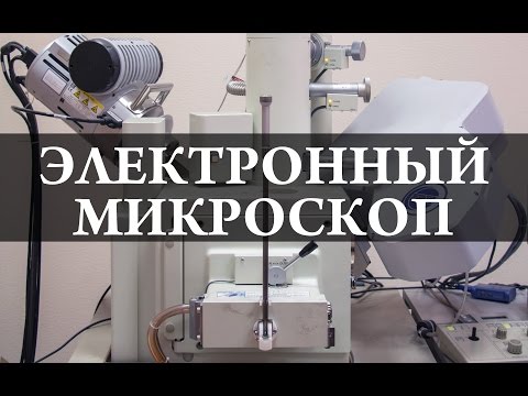 Электронный микроскоп  Химия – просто