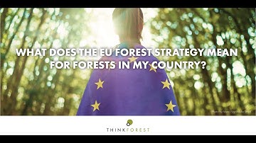 ThinkForest webinar 26.6.2023 -- Achieving the EU Forest Strategy goals - what can science tell us?