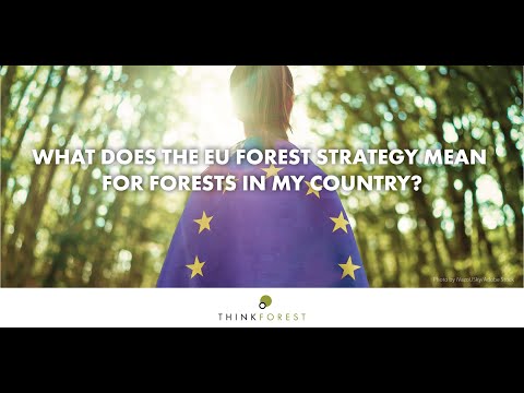 Видео: Чи Венатчи үндэсний ойд ан хийж чадах уу?