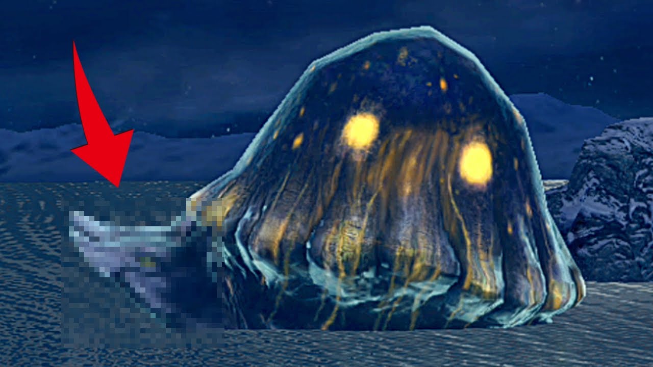 うみうしぼうずさま 攻略】ウミウシボウズの出現場所(行き方や写真撮影タイミング