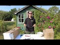 How to Safely View the Solar Eclipse!