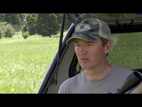 Firearm Safety: How To Load and Unload a Bolt-Action Rifle With Janis Putelis
