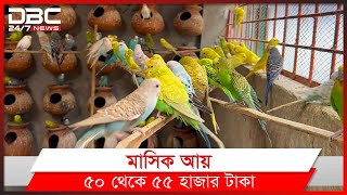 Change the fate of bird breeding! | DBC News Special