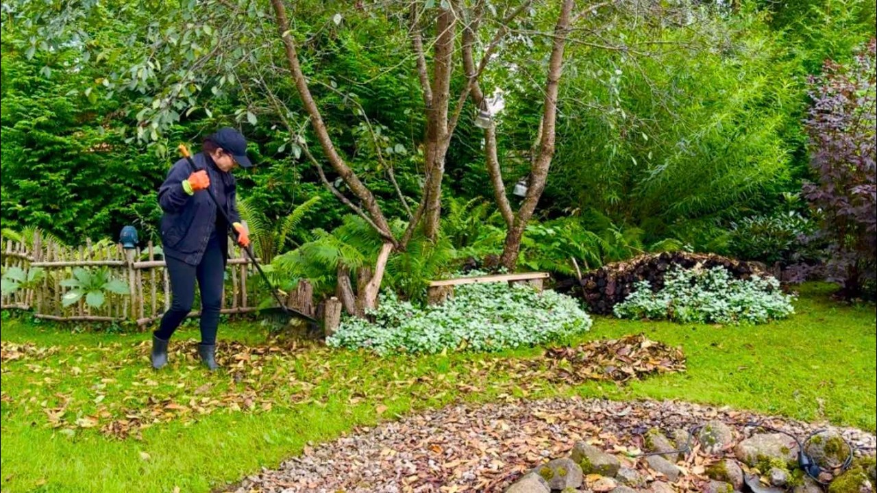 24.09.2025 Покажу и расскажу о ландшафтном дизайне. Идеи для сада.