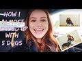 How I almost ended up with 5 dogs | Madelaine Petsch