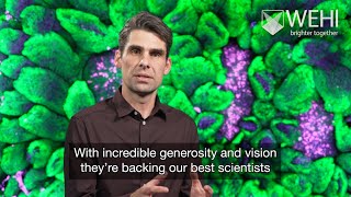What’s different about the Snow Centre for Immune Health? @WEHImovies