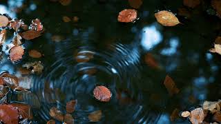Magic Is Ordinary . . . But Is The Ordinary, Ordinary? Keys Of Magic 65