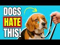 90% Dog Owners Do THIS When Walking... And Dogs Suffer Silently | Dog Care Tips