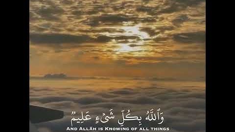 {ما أصاب من مصيبة إلا بإذن اللّه} بصوت ماهر معيقلي سورة التغابن 🌸❤ حالات واتس اب دينية