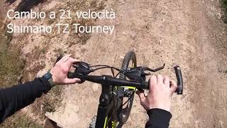 Bicicletta da Montagna