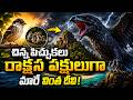 Island Mystery Tiny Birds Become Giants | చిన్న పిచ్చుకలు రాక్షస పక్షులుగా మారే వింత దీవి! | Prime9