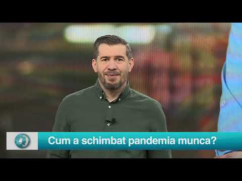 Video: Ce este despre noua ta cămașă, care are câinele tău așa de furios?