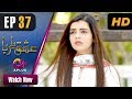 Watch Ishq Ya Rabba - Episode 37 | Aplus Dramas | Bilal Qureshi, Srha Asghar, Fatima | Pakistani Drama Online In HD