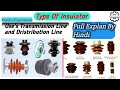 #TypeofInsulator used in Transinmission Line and Distribution Line | in Hindi |by Pandey Experiment