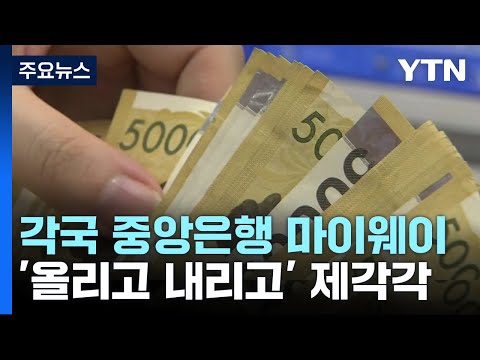 올리고 내리고 각국 금리 마이웨이 YTN 