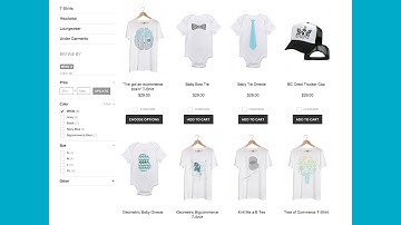 Product Filtering - Manage Store | Bigcommerce University