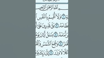 تلاوة خاشعة من سورة القيامة #relaxing #تلاوات  #quran #emotional #قرآن #تونس #مصر  #ليبيا #الجزائر