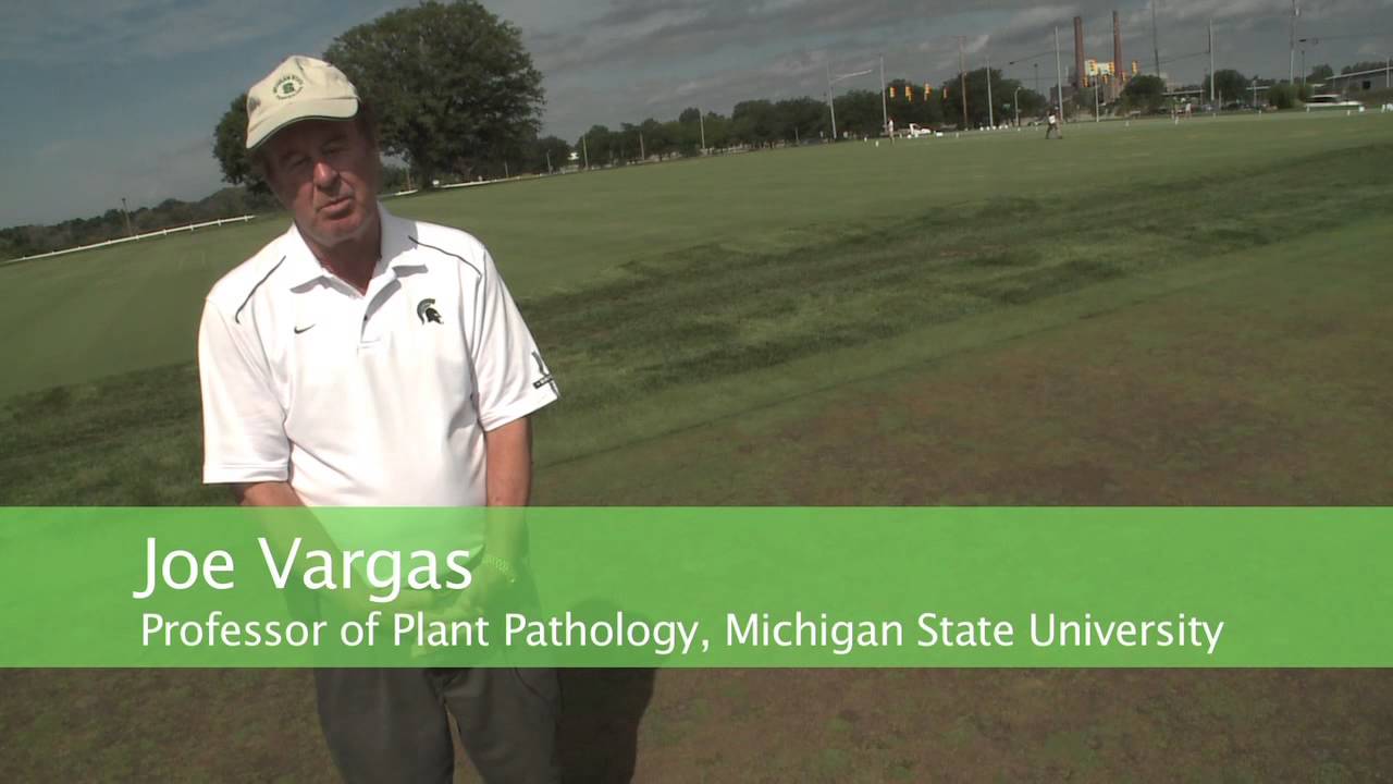 StressGard Formulation Technology Field Test - Bayer