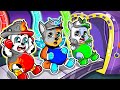 Paw Patrol Brewing Cute Baby Factory - Funny Life Story | Ultimate Rescue | Rainbow Friends 3