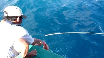 Câu cá Mú Đỏ ở biển Côn Đảo