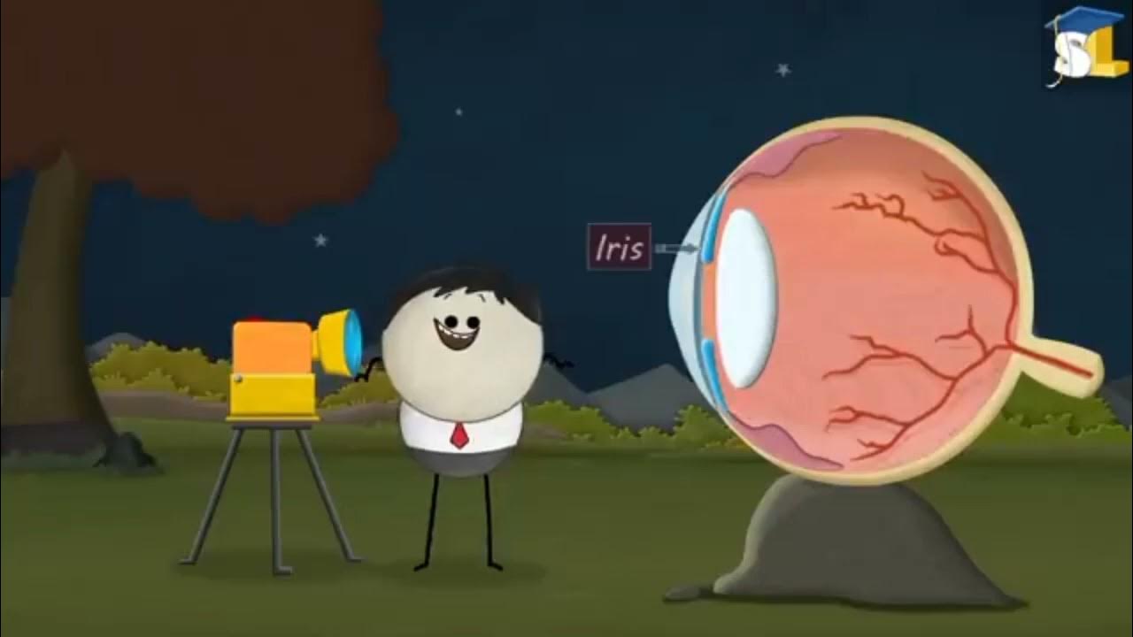 Red eyes effect _ why do my eyes glow red in photo kids science 