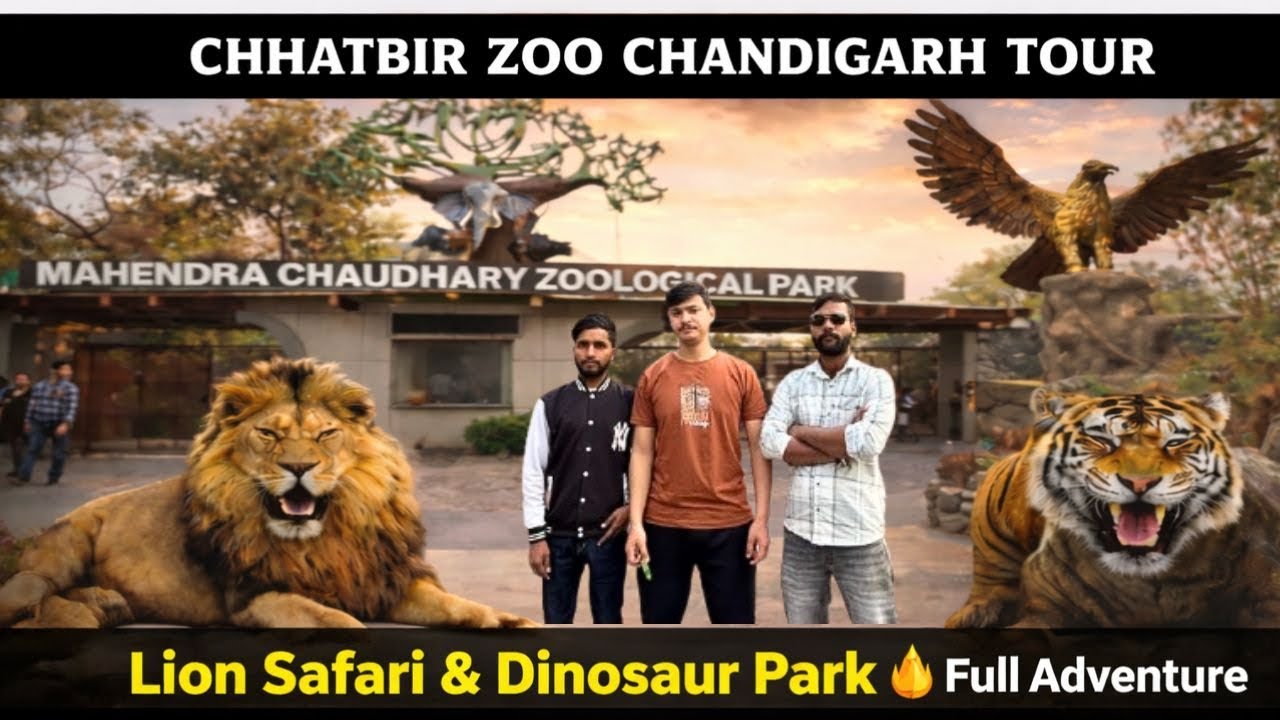 Chandigarh Chhatbir Zoo Complete Tour 2026 | Lion Safari + Dino Park 🦖