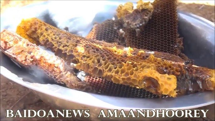 Lisa Ann yomon Rus qizlari ochiq havoda jinsiy aloqada bolgan shaxsiy video.