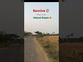 No Filter, no Music, just Nature 🌱 #summervibes #morningwalk #villagelife