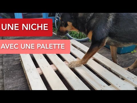 Vidéo: Comment faire une maison de chien avec un toit ouvrant