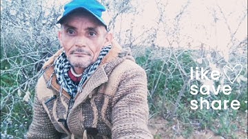 قرآن كريم | سورة الشمس | تجويد وقراءة رائعة بصوت القارئ الشيخ #سعد_الغامدي | صدق الله العظيم 🤲🙏👍 🥰💞💝