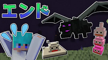 ドラクエmodのエンドが地獄すぎて攻略できる気しないんだが 3 Minecraft ドラクエmod ゆっくり実況
