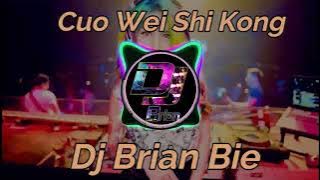 Cuo Wei Shi Kong 错位时空 Remix By Dj Brian Bie