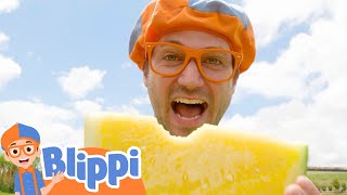 Blippi Visits Tanaka Farms! | Blippi | Animals for Kids