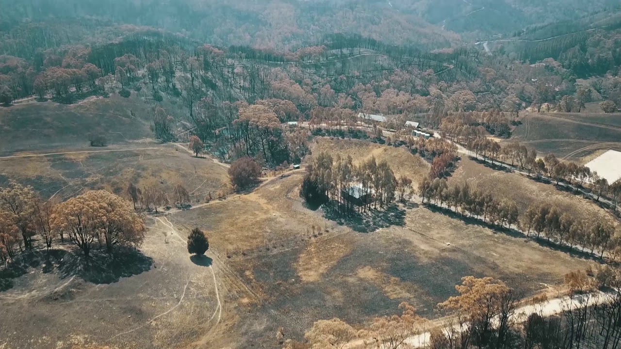 2019 - 2020 Cudlee Creek fire aftermath