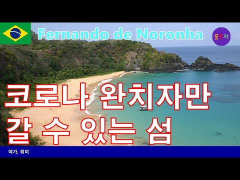 [브라질 여행]코로나환자만 들어갈 수 있는 섬 페르난도 데 노로냐  Fernando de Noronha