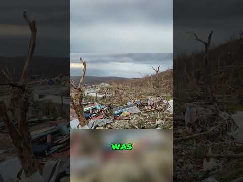 Rich or Poor… Hurricane Melissa Hit EVERYONE! #shorts