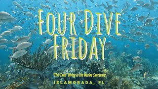 Four Dive Friday : Diving The Florida Keys National Marine Sanctuary