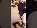 Some funny movements with 🐈 cats