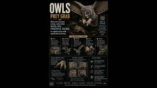 Silent Hunter of the Night: The Owl’s Secret Power 🦉🌙