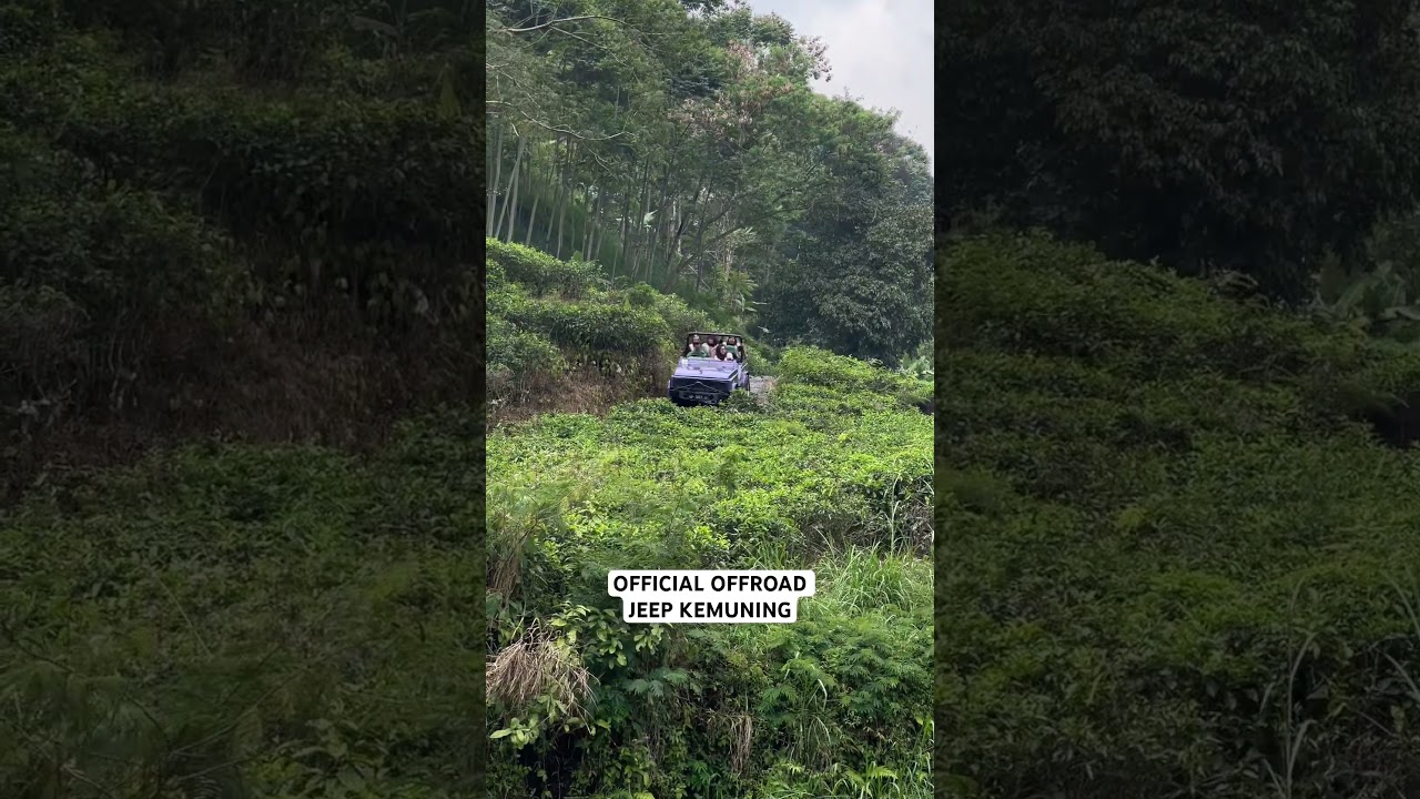 Offroad jeep kemuning 