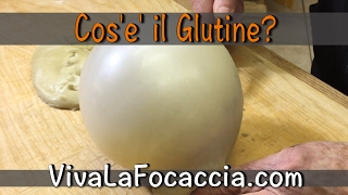 Che Cos'e' il Glutine? Che Cos'e' il Glutine?