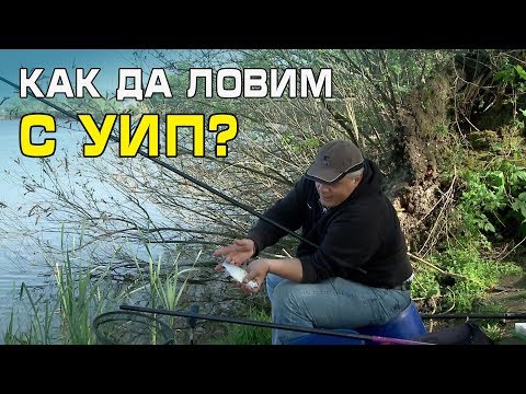 Видео: Как да си направим сушилня за риба със собствените си ръце?