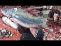Ayer Fish Cutting in Bangladesh || ARS fish cutting