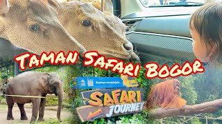 PERTAMA KALI PERGI KE TAMAN SAFARI BOGOR TAHUN 2026