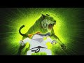 Zig & Sharko 🦁💥 EYE OF TIGER 🦁💥 2021 COMPILATION 🎭 Cartoons for Children